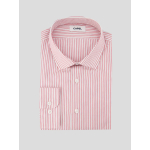 Chemise Rayée Max Double Retors Grande Taille Rose et Blanche