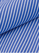 Chemise Rayée Max Grande Taille Bleue et Blanche