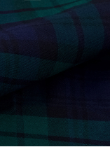 Chemise Oxford à Carreaux Grande Taille Bleue et Verte