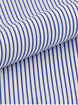 Chemise Rayée Max Grande Taille Blanche et Bleue