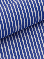 Chemise Rayée Max Grande Taille Bleue et Blanche