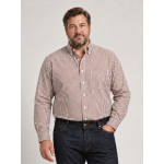 Chemise Rayée Ralph Grande Taille Marron et Blanche