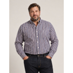 Chemise Rayée Ralph Grande Taille Bleue, Marron et Blanche