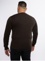 Pull Mérinos Col V Como Grande Taille Marron