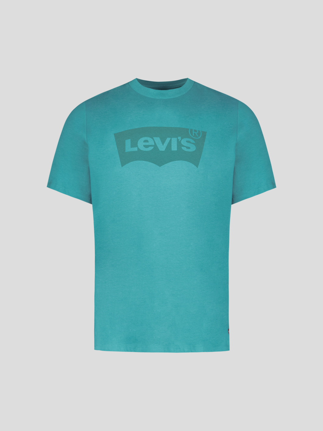 Tee-Shirt Logo Grande Taille Vert