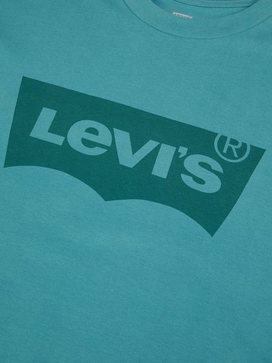 Tee-Shirt Logo Grande Taille Vert