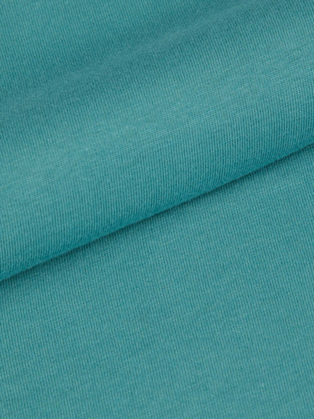 Tee-Shirt Logo Grande Taille Vert