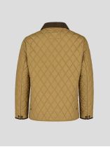 Veste Matelassée Grande Taille Marron Glacé