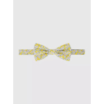 Noeud Papillon Fleurs & Tissu Liberty Homme Grande Taille - Capelstore