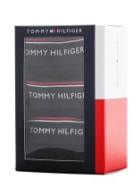 Lot de 3 slips Tommy Hilfiger du 2XL au 5XL