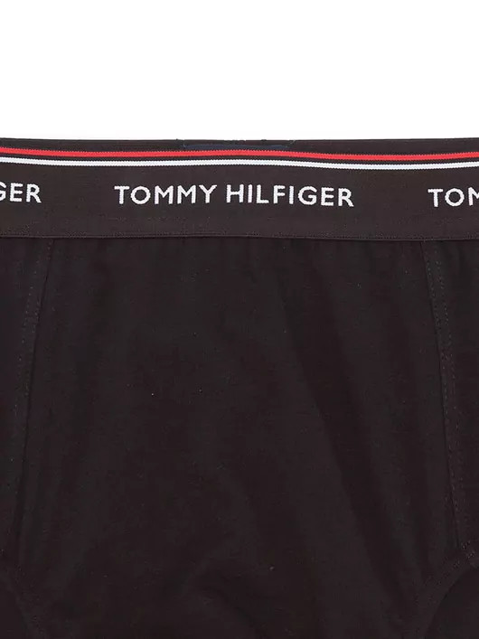 Lot de 3 slips Tommy Hilfiger du 2XL au 5XL