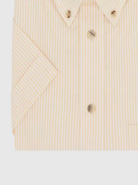 Chemise Rayee Capel Grande Taille