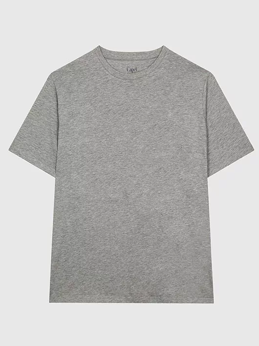 Tee-shirt Gris Capel Grande Taille