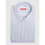 chemise à rayures homme grande taille