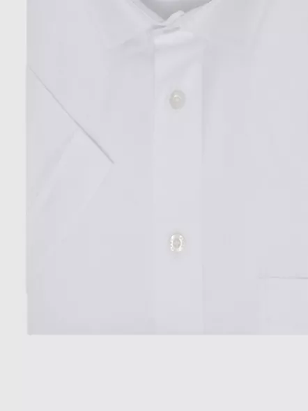 Chemisette Blanche Oxford Capel Grande Taille