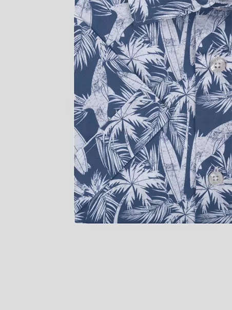 Chemise Hawai Capel Paris Grande Taille Chemise Hawai Capel Paris Grande Taille