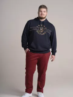 Sweat Tommy Hilfiger Icons à capuche à logo marine homma grande taille | Capel