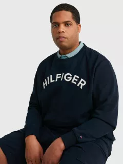 Pull Col Rond Logo Tommy Hilfiger Grande Taille  homme grande taille - Capelstore