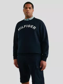 Pull Col Rond Logo Tommy Hilfiger Grande Taille  homme grande taille - Capelstore