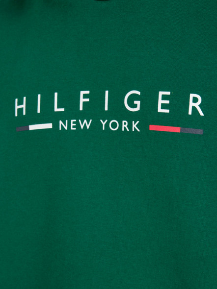 Sweat à Capuche Vert Tommy Hilfiger Grande Taille