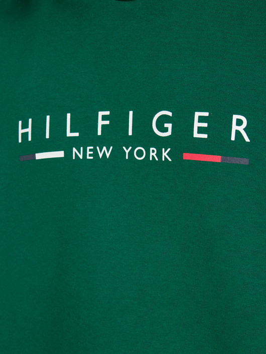 Sweat Capuche Vert Tommy Hilfiger Grande Taille homme grande taille - Capelstore