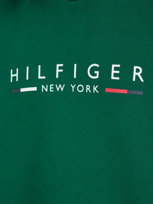Sweat Capuche Vert Tommy Hilfiger Grande Taille  homme grande taille - Capelstore