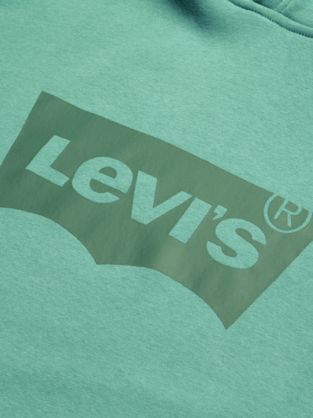 Sweat à Capuche Logo Levi's Grande Taille