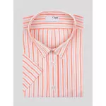 Chemise Rayures Capel Paris Grande Taille