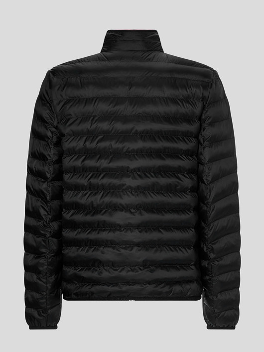 Blouson Matelasse Noir Tommy Hilfiger Grande Taille homme grande taille - Capelstore