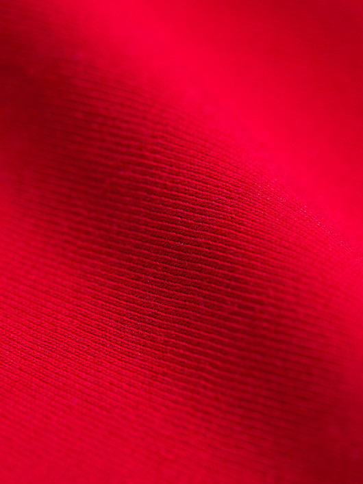 Tee-shirt Rouge Logo Drapeau Tommy Hilfiger Grande Taille homme grande taille - Capelstore
