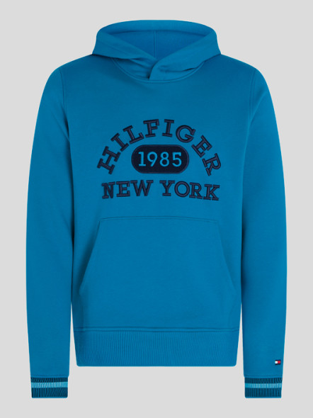 Sweat Capuche Hilfiger N.Y. Tommy Hilfiger Grande Taille