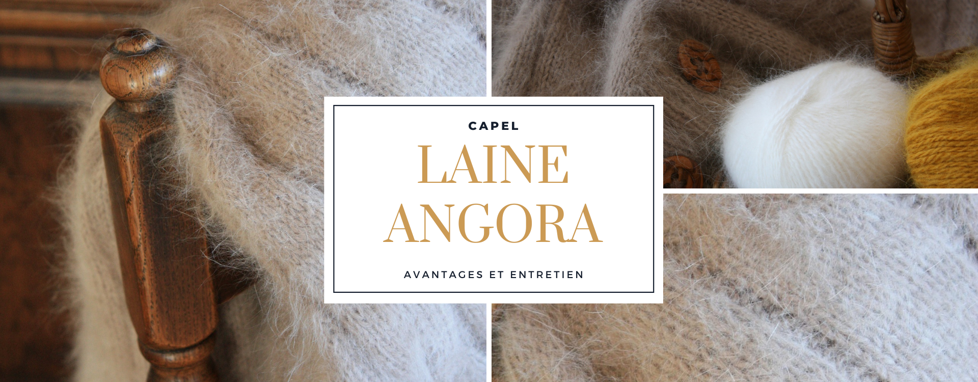 Laine angora : Avantages et entretien – Capelstore