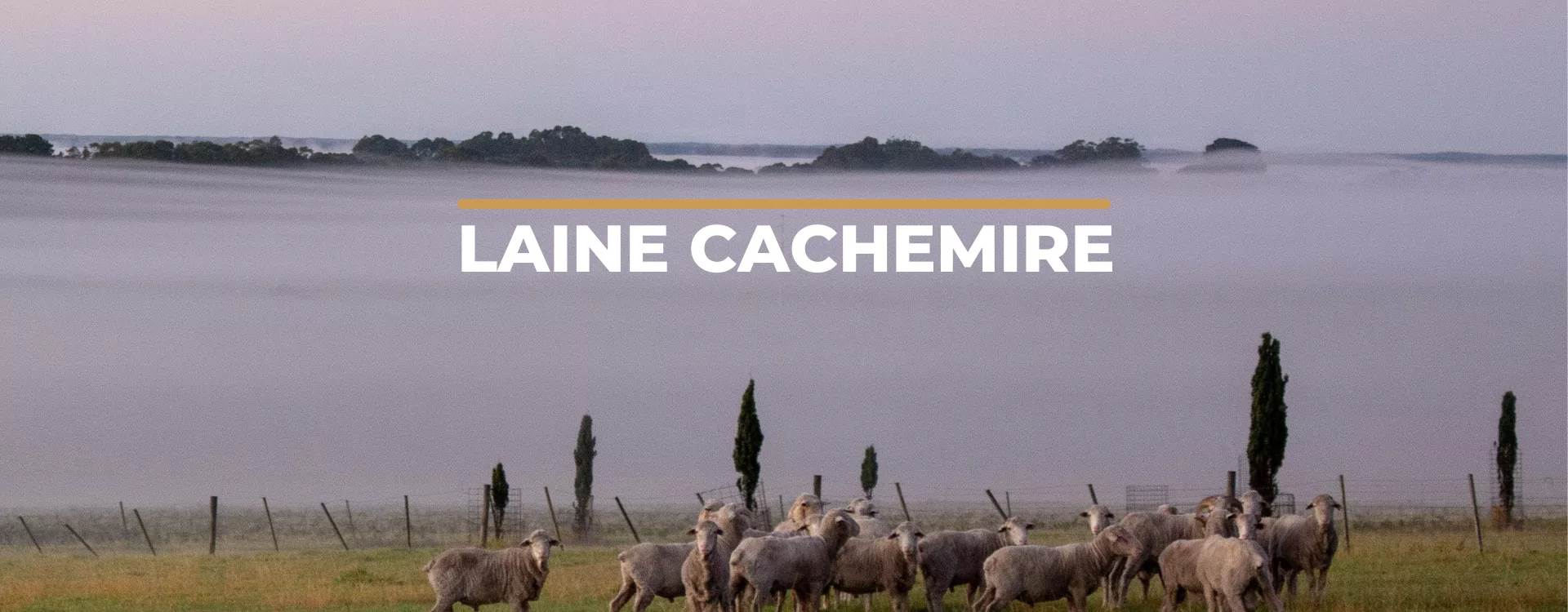 Laine cachemire : Avantages et entretien – Capelstore