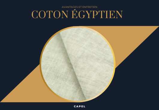 Le coton égyptien